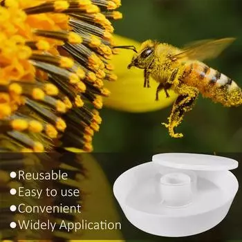 NEW 26*26*5.8cm Plastic Feeder Beehive Drinking Bowl For Bee Drinking Sugar Syrup Feeding Equipment Bee Keeping Equipment E D5A2