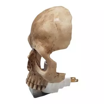 New Human Light, Unique Handmade Halloween Night Lamp, Gothic Skeleton Plug Into Wall Night Light, Halloween Cranium Spooky Party Living Room One Size