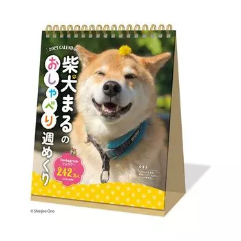 Новый японский календарь 2025 Календарь настольный Shiba Inu Maru s Talking Weekly NK4308