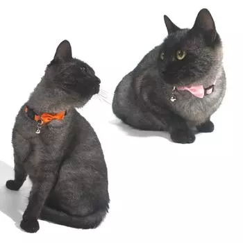 New Pet Collar Adjustable Durable Cat Collars Solid Color Bowknot Pet Supplies Cute Buckle Cats Bow Tie Pets Accessories зелёный