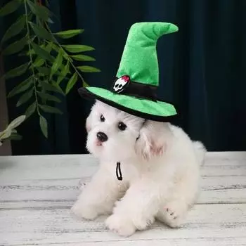 New Pet Halloween Hat Witch Role Play Strap Skull Make Weird Velvet Cloth Dog Hat Small Dog Cat Costume Pet Supplies free size оранжевый