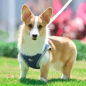 New Reflective Dog Vest Harnesses for Small Medium Dogs Brethable Pet Harness and Leash Set Walking Puppy Cat Chain Pet Supplies XS чёрный