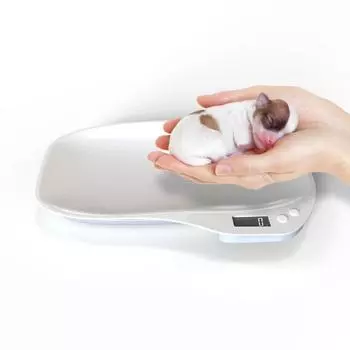 Newborn Pet Scales Tray Baking Kitchen Electronic Scales Pet Weigher Animal Cat Dog Weighing Tools белый