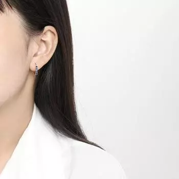 Niche Diamond Earbuds Простые и универсальные серьги Temperament Серьги с цветными сапфирами