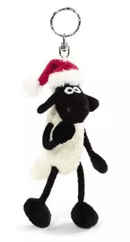 NICI BB STS Sean X mas