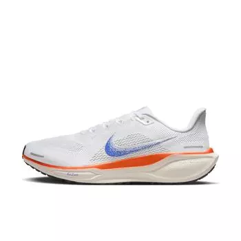 Мужские кроссовки Nike Air Zoom Pegasus 41 Blueprint Pack Разноцветные HF0013-900 40