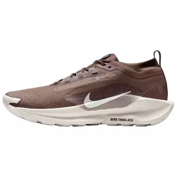 Nike Кроссовки Pegasus Trail 5 GORE-TEX Коричневая норка Мужские Кроссовки Барокко-коричневый Лунный-частица HQ7494-200 44.5