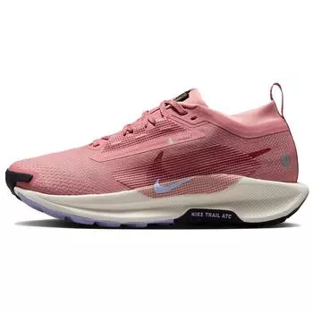 Nike Кроссовки Pegasus Trail 5 GORE-TEX Red Stardust Женские Розовый Сиренево-Ледяной Алебастровый FQ0912-602 36