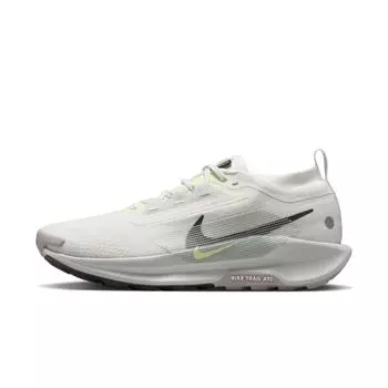 Nike Pegasus Trail 5 GORE-TEX Light Silver Sequoia мужские кроссовки серые Summit-White College-Grey FQ0908-102 42
