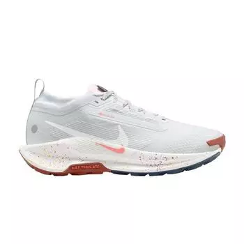 Nike Pegasus Trail 5 GORE-TEX Platinum Paint Splatter женские кроссовки серые Pure-Platinum Football-Grey FQ0912-007 35.5