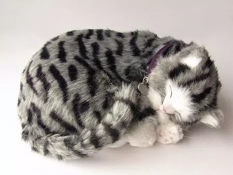 Нини и Кино Идеальный Питомец (Маленький размер) Плюшевая игрушка Sabata Cat, реалистичный кот, похожий на разные товары, животное, исцеление, движущийся подарок