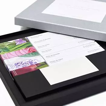 Nippon Kodo ESTEBAN Interior Garden Благовония Тарелка для благовоний Подарочная и