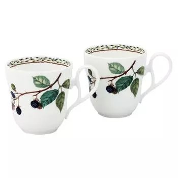 Кружка Noritake 375cc Orchard Garden, безопасная для использования в микроволновой печи, 2 шт., костяной фарфор (Парный набор) Р97855/4911