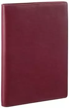 Ноутбук Reimei Fujii System Da Vinci Standard A5 Wine JDA3003Z