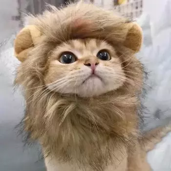 Новая Милая Забавная Одежда Для Домашних Животных Шапка Милый Парик Кошки Львиная Грива Костюм Косплей Шапка для Собаки с Ушами Необычные Товары Для Вечеринок S коричневый