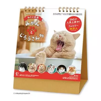 Новый японский календарь 2025 года Настольный календарь Cat Life Mikan и Jiro Family Chronology включен NK8527