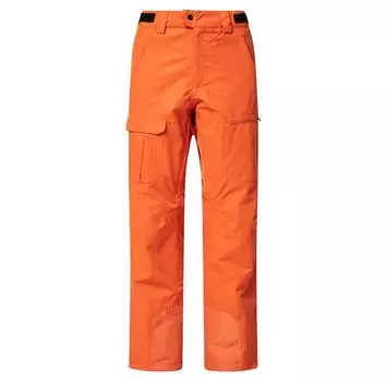 Oakley Брюки Divisional Cargo Shell M