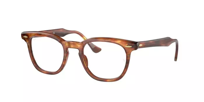 Очки RX5398F STRIPED HAVANA 50 [Ray-Ban]