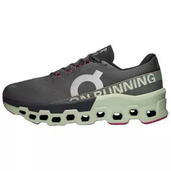 Мужские кроссовки Cloudmonster 2 Asphalt Lima серые 3ME10122541 46
