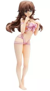 One of them has a younger Aina Tendo scale PVC painted finished sister! (1/8 product)