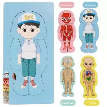 Organs Human Body Structure Jigsaw Puzzle Educational Toy For Kids Learning StyleA