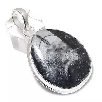 Orthoceras Fossil Gemstone 925 Sterling Silver Jewelry Pendant 2.25 P4V62