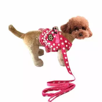 OSC Dog Dog Lead Set of Cat Dog Pet Small Medium Size Cat Dog Easy to Put On and Take For Walking Harness, Torso, 1.2m Harness, 2, T-Shirt, Clothes,