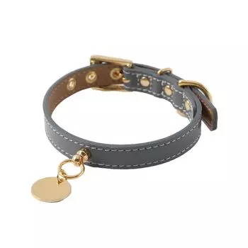 Ошейник Charm Leather для собак маленьких и средних пород. Натуральная коровья кожа. Усадочная обработка. Легкий, регулируемый размер. Кожа для прогулок и серый