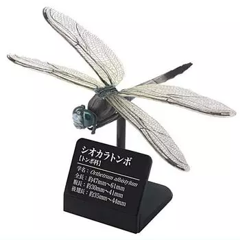 Основная цветовая энциклопедия серии японская стрекоза Shiokara Gacha Gacha капсульная игрушка [3. Стрекоза] (Отдельный предмет)
