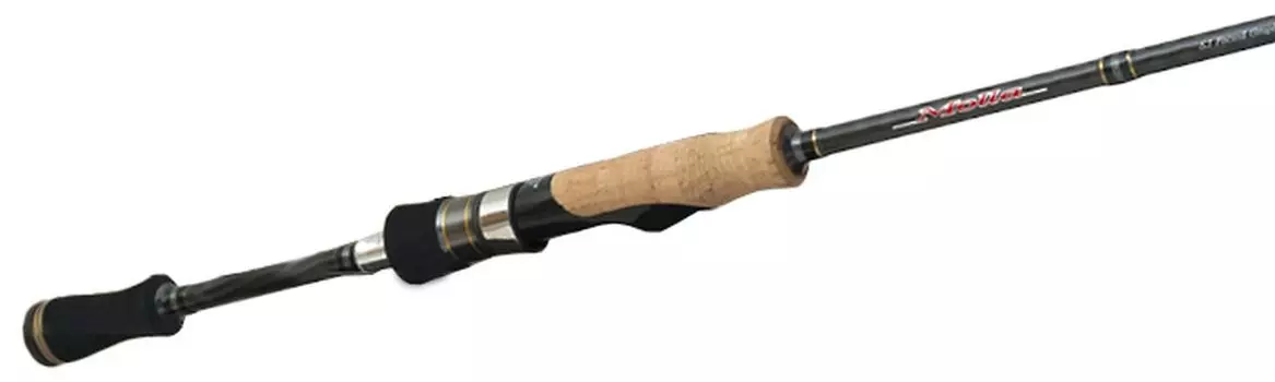 Пальмы Мора MGGS-73ML+2F