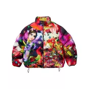 Palace Ripstop Puffa Chila Верхняя одежда унисекс разноцветная P25JK132