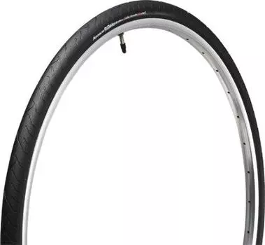 Panaracer Tire Ribmo PT [H/E 26x1.25] F26125PS-RB-B