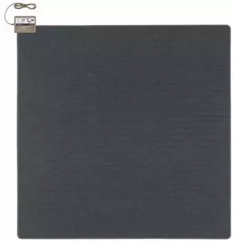 Panasonic Hot Carpet Heater Body 2 Tatami 176 x 176cm DC-2JN
