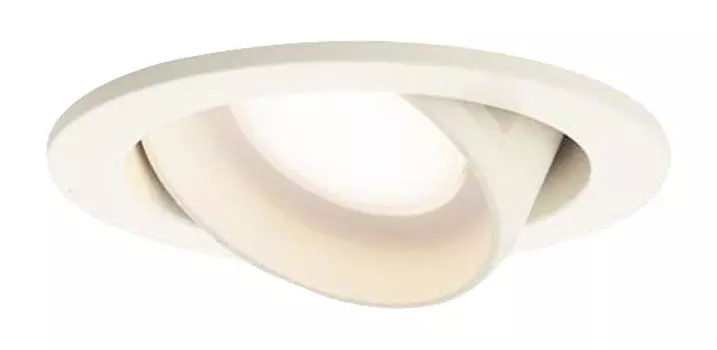 Светодиодный светильник Panasonic Downlight, встраиваемый в потолок, тип 60, рассеянный свет, цветная лампа LSEB5505LE1