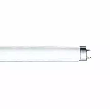 Panasonic прямая трубка Hf 32 тип натуральный цвет FHF32EXNH (10 кусочков)