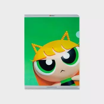 Папка с файлами PowerPuff Girls X NJ. (Харин)
