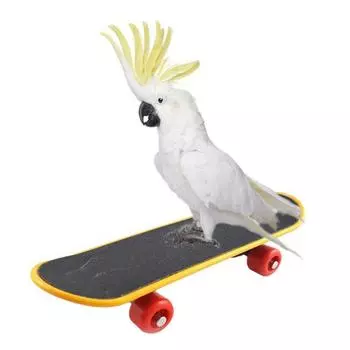 Parakeet Training Accessories Parrot Stand Perch Bird Accessories Bird Supplies Skateboard Bird Toy 1