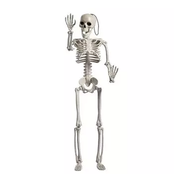 Parties accessories Skeleton model Human Bones Halloween props Car Rearview mirror pendant