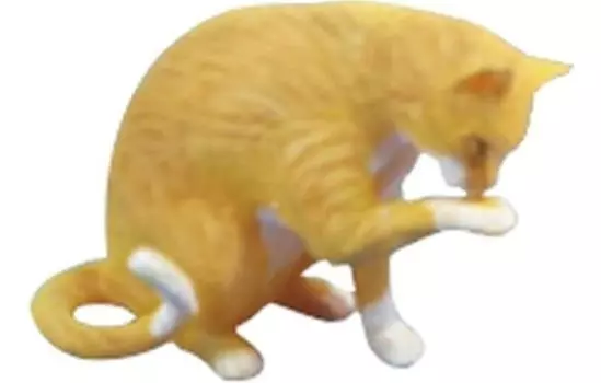 Passion Models Cat 3 Resin Kit Approved by Cat Lovers 1/12 P35T-028-3 (Animal)