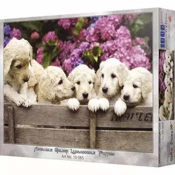 Пазл BN Puppy Five Brothers, 1000 деталей, пазл разных цветов, детские игры, развивающие игрушки