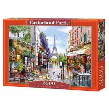 Пазл Castorland Classic 3000шт. (Цветущий Париж)