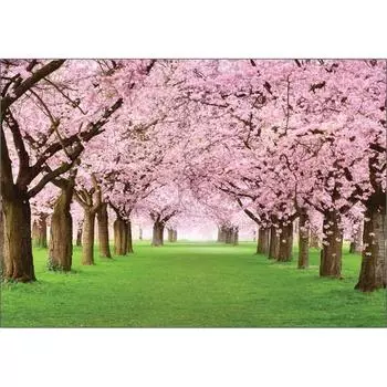 Пазл Korea Cherry Blossom Tree and Green Garden Jigsaw Puzzle 3207, 2000 деталей, разные цвета, 2000 деталей Пазл, Детские игры