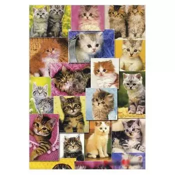 Пазл Life Cute Cat Family, 38х52см, 1 деталь