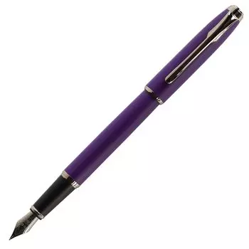 Перьевая ручка Teranishi Chemical Guitar F Purple GFPN-BK-F