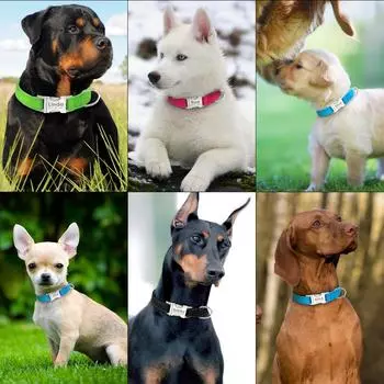 Personalized Dog Collar Durable Nylon Reflective Collar Custom Pet Dogs Collars For Small Medium Large Dogs S чёрный