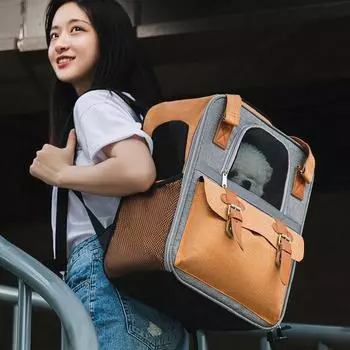 Pet carrier: cats, small dogs