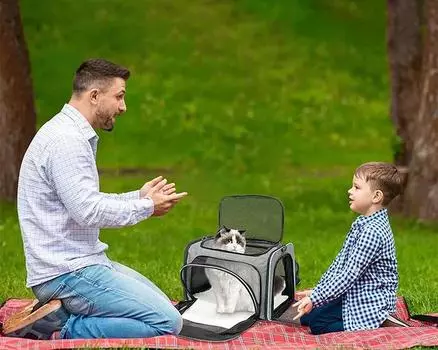 Pet Carriers Bag Portable Breathable Expandable Foldable Bag Cat Dog Safety Carrier Bags Outdoor Travel Handbag for Pets Cats S