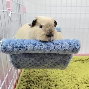 Pet Hammock for Small Animal Double Thick Plush Warm Bed Hamster House Nest Sleeping Bag Hanging Tree Beds S синий