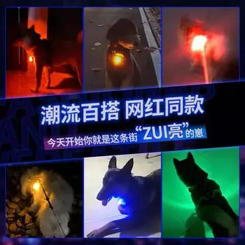 Pet LED Luminous Pendant Dog Listing Luminous Anti-loss Light Large Medium and Small Dog Flash Collar Pendant синий