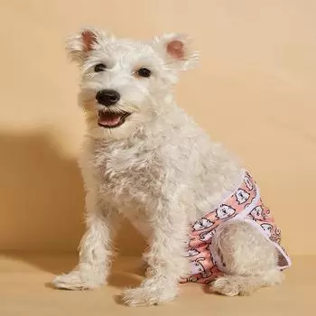 Pet Physiological Pants with Anti Harassment Menstrual Dog Pet Diapers and Mother Dog Physiological Pants XS